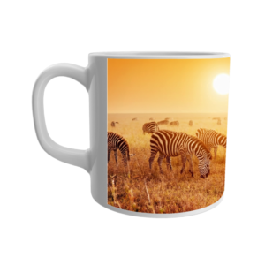 Black & white zebras printed ceramic white mug for the kids
