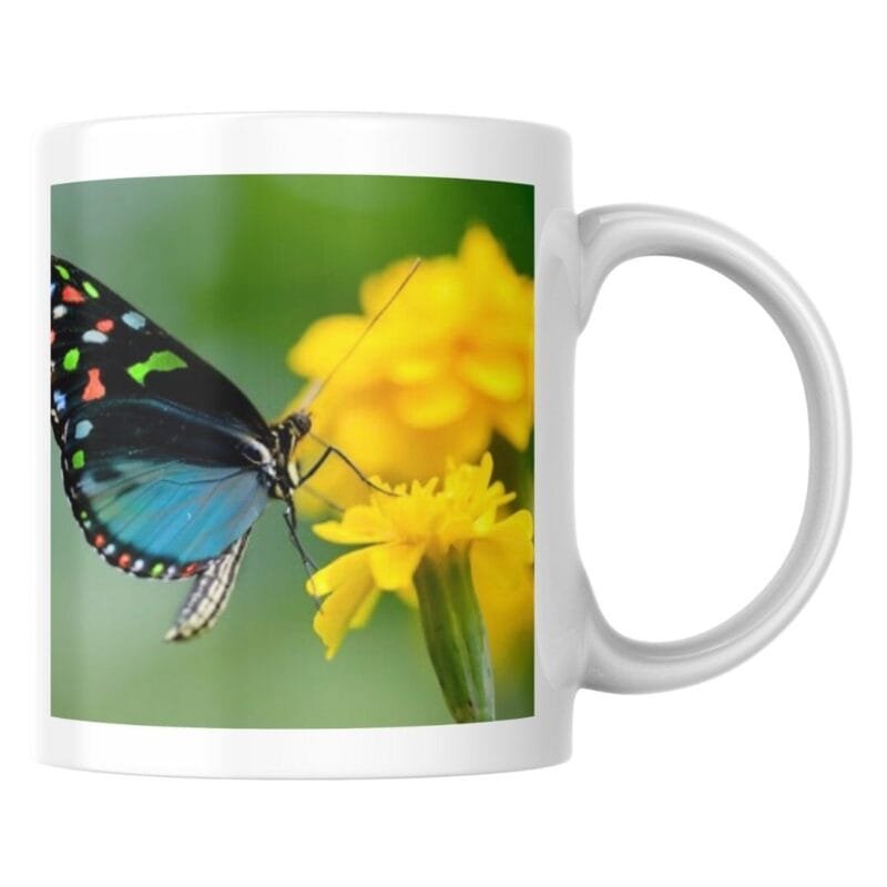 Colorful Butterfly on Yellow Flower