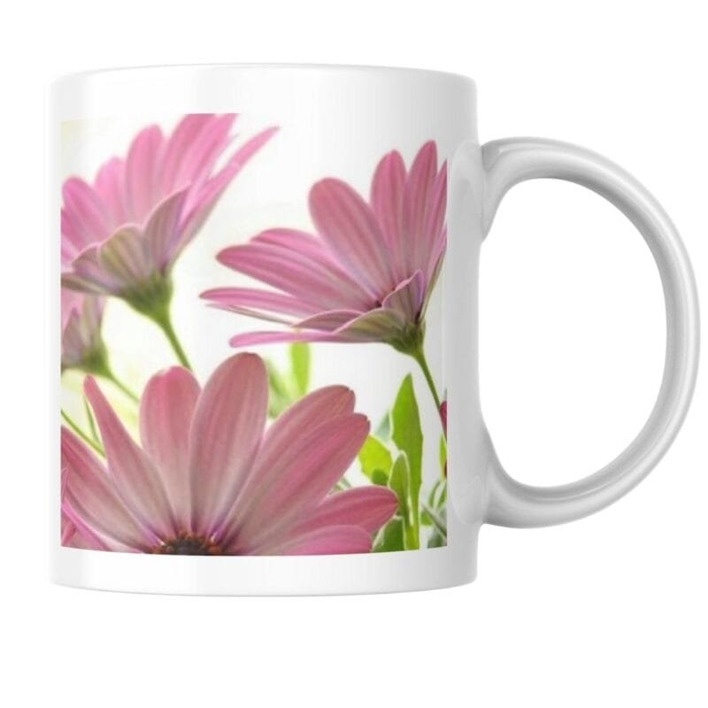 Beautiful Pink Daisy Flowers in Bloom