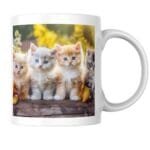 Fluffy Kittens Posing Together in a Colorful Garden Full of Sunshine, Flowers, and Pure Cuteness 2 - Product GuruJi Fluffy Kittens