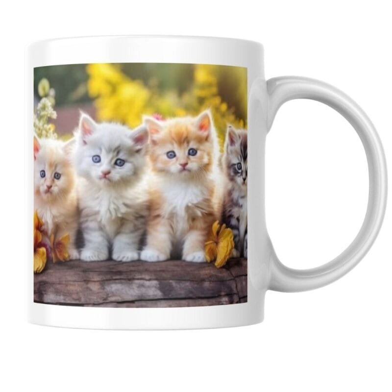 Fluffy Kittens