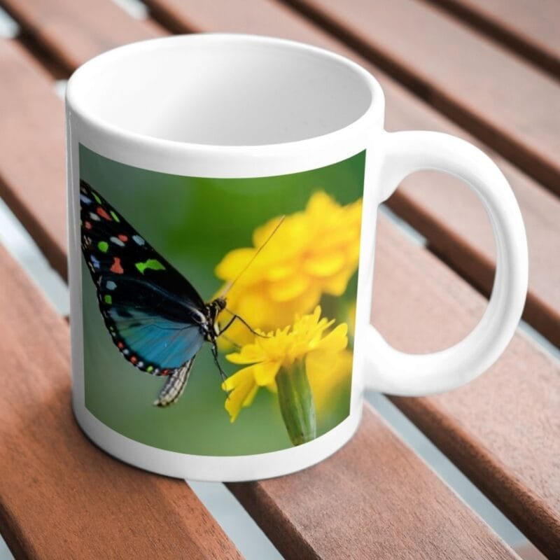 Colorful Butterfly on Yellow Flower – Vibrant Nature Photography for Spring, Garden Decor, and Inspiration - Image 2
