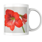 Beautiful Red Amaryllis Flower Blooming With Delicate Petals Symbolizing Love Passion Elegance Nature Beauty And Grace 2 - Product GuruJi Beautiful Red Amaryllis Flower Blooming