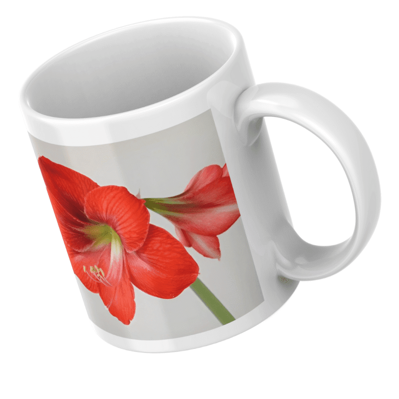 Beautiful Red Amaryllis Flower Blooming With Delicate Petals Symbolizing Love Passion Elegance Nature Beauty And Grace - Image 5