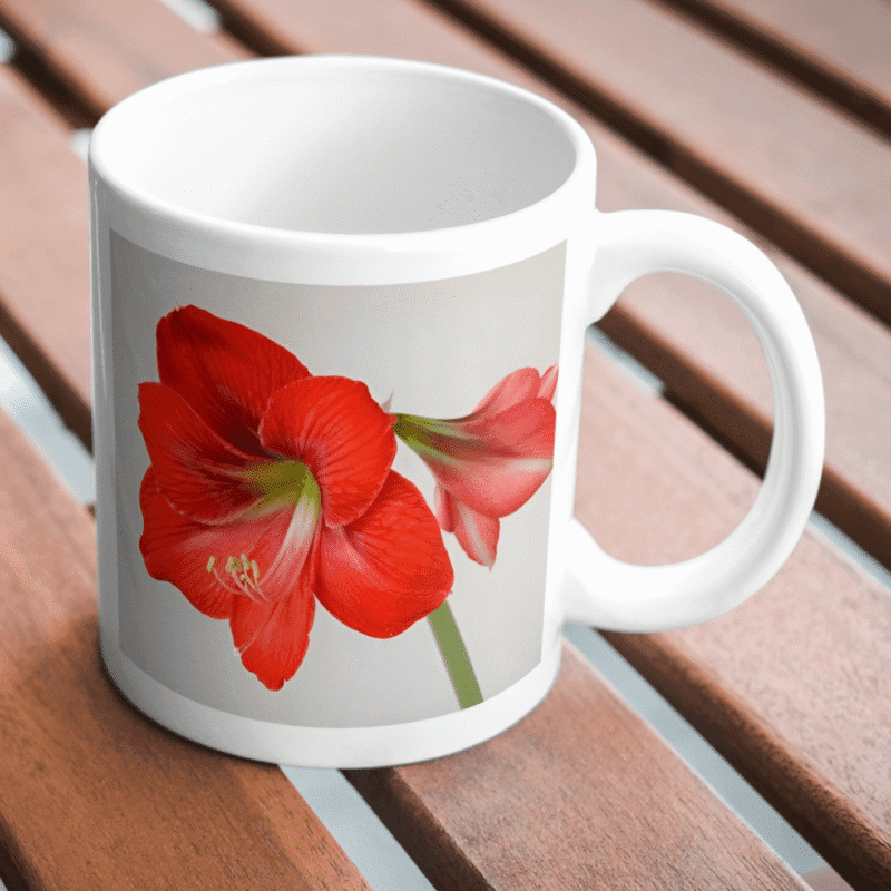 Beautiful Red Amaryllis Flower Blooming With Delicate Petals Symbolizing Love Passion Elegance Nature Beauty And Grace - Image 2